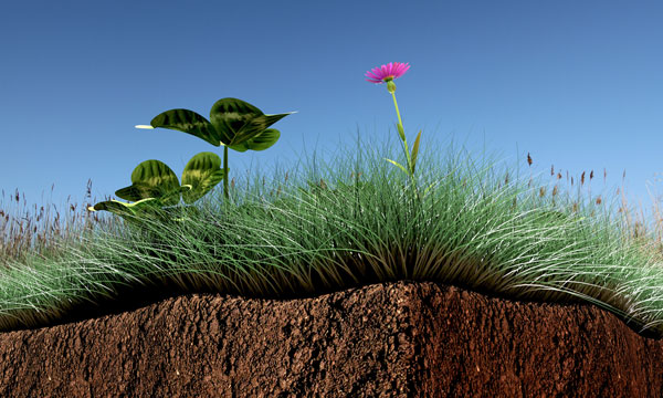 No-Till on the Plains Winter Conference Teaches Attendees About Soil Health